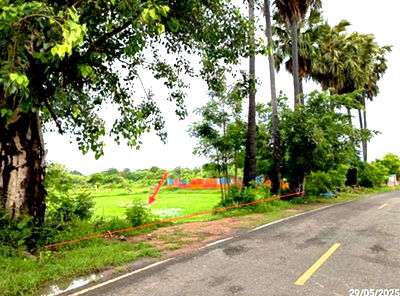 Land for sale Buri Ram : LAND for sale  Nong Khu Lam Plai Mat Buri Ram