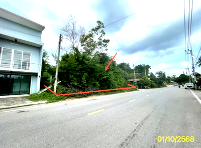 Land for sale Hat Yai University : LAND for sale  Ban Phru Hat Yai Songkhla