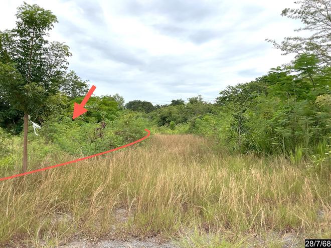 รูป ที่ดินว่างเปล่า สำหรับขาย ภูตะวัน สีคิ้ว หนองหญ้าขาว สีคิ้ว นครราชสีมา - รูปที่ 6/18