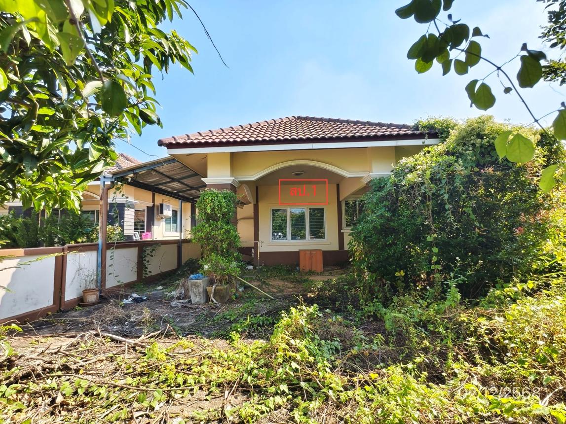 รูป บ้านเดี่ยว สำหรับขาย บ้านการุณ 5 สันทรายน้อย สันทราย เชียงใหม่ - รูปที่ 4/10