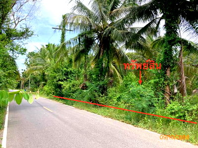 Land for sale Don Sak Surat Thani : LAND for sale  Don Sak Don Sak Surat Thani