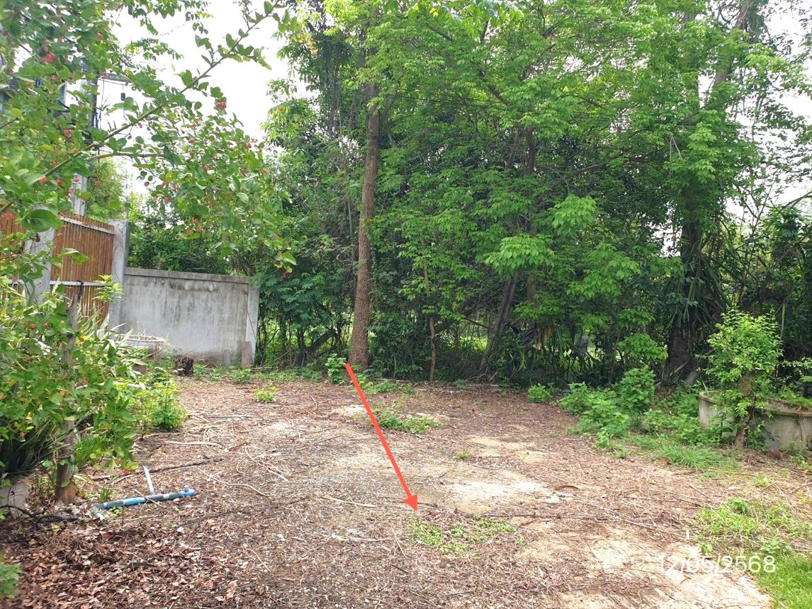 picture HOME for sale  Hang Chat Hang Chat Lamphang - 31/36