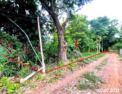 ที่ดิน อุตรดิตถ์ : ที่ดินว่างเปล่า สำหรับขาย - ด่านแม่คำมัน ลับแล อุตรดิตถ์