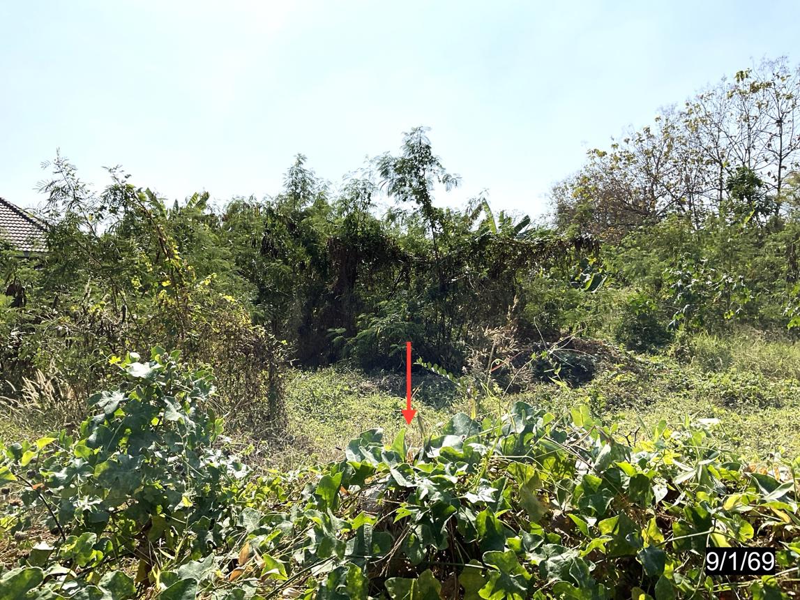 รูป ที่ดินว่างเปล่า สำหรับขาย บ้านรุ้งเพชร หนองไผ่ ชุมแพ ขอนแก่น - รูปที่ 15/24