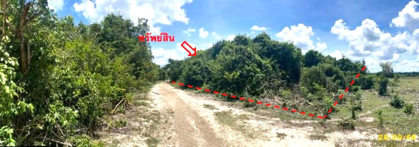 รูป ที่ดินว่างเปล่า สำหรับขาย - ลำภู เมืองนราธิวาส นราธิวาส - รูปที่ 10/20