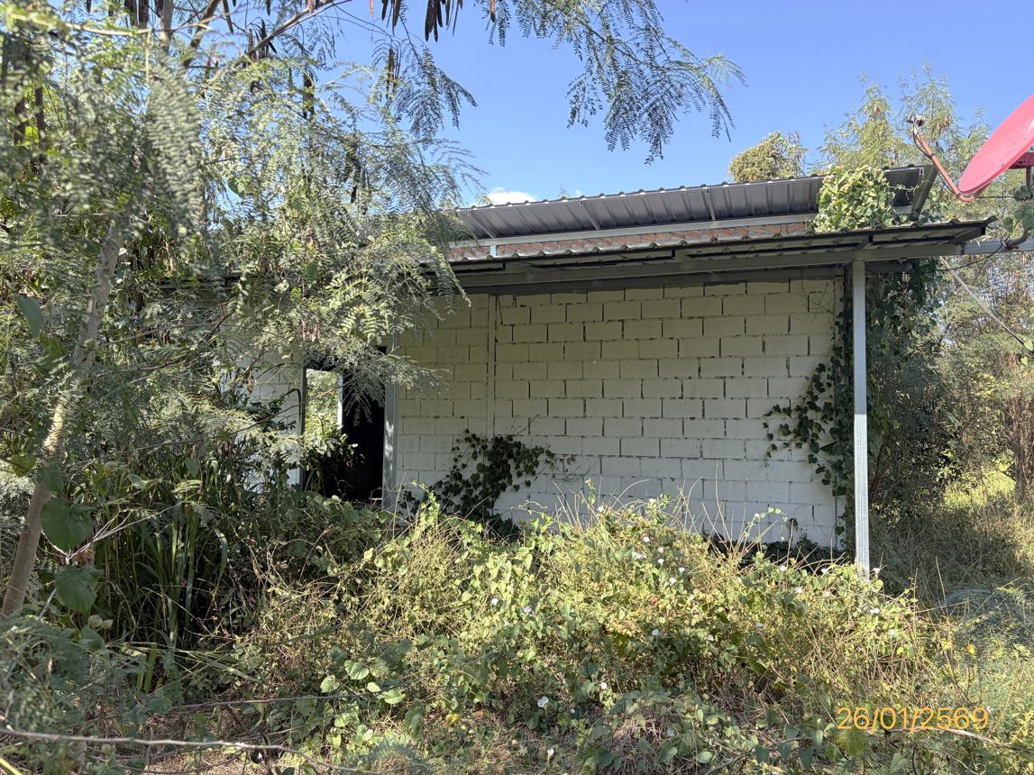 รูป บ้านเดี่ยว สำหรับขาย - บ้านใหม่ไชยมงคล ทุ่งเสลี่ยม สุโขทัย - รูปที่ 31/38