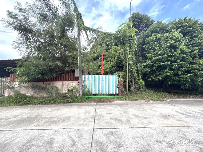 รูป อาคารสำนักงาน สำหรับขาย - ทับมา เมืองระยอง ระยอง - รูปที่ 1/18