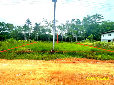 Land for sale Songkhla : LAND for sale  Kamphangphet Rattaphum Songkhla