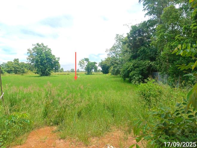 รูป ที่ดินว่างเปล่า สำหรับขาย - วังทองแดง เมืองสุโขทัย สุโขทัย - รูปที่ 4/24