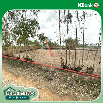 รูป ที่ดินว่างเปล่า สำหรับขาย - คูเมือง มหาชนะชัย ยโสธร - รูปที่ 20/22
