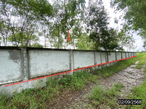 รูป ที่ดินว่างเปล่า สำหรับขาย - นาดี เมืองอุดรธานี อุดรธานี - รูปที่ 13/16