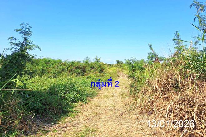 รูป ที่ดินว่างเปล่า สำหรับขาย - ท่าตุ้ม ป่าซาง ลำพูน - รูปที่ 6/20