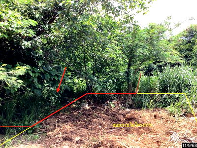 ที่ดิน ปากช่อง โคราช : ที่ดินว่างเปล่า สำหรับขาย ภูริพิมาน ปากช่อง ปากช่อง นครราชสีมา