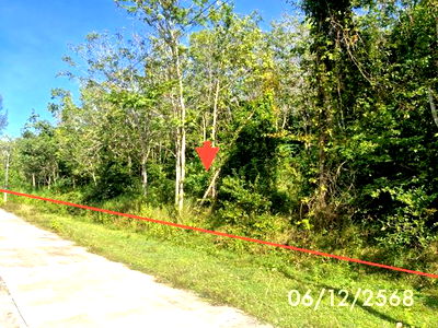 Land for sale Trang : LAND for sale  Ko Sukon Palian Trang