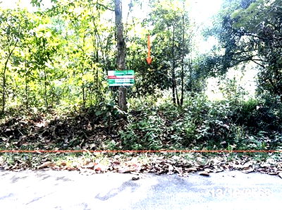 Land for sale Ubon Ratchathani : LAND for sale  Pho Sri Phibun Mangsahan Ubon Ratchathani