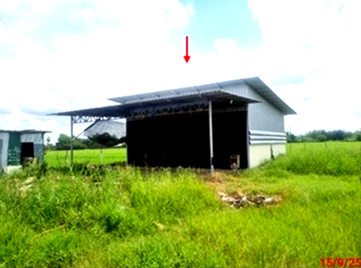 Factory for sale Saraburi : FACTORY for sale  Nong Yao Muang Saraburi Saraburi