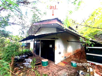 Houses for sale Muang Surat Thani Surat Thani : HOME for sale  Makham Tia Muang Surat Thani Surat Thani
