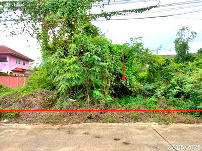 Land for sale Phetchabun : LAND for sale  Bung Samphan Buang Sam Phan Phetchabun