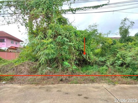 LAND 432 Sq.w. Buang Sam Phan Phetchabun for 4.5M