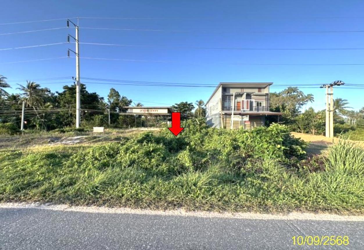 รูป ที่ดินว่างเปล่า สำหรับขาย - ดอน ปะนาเระ ปัตตานี - รูปที่ 7/16