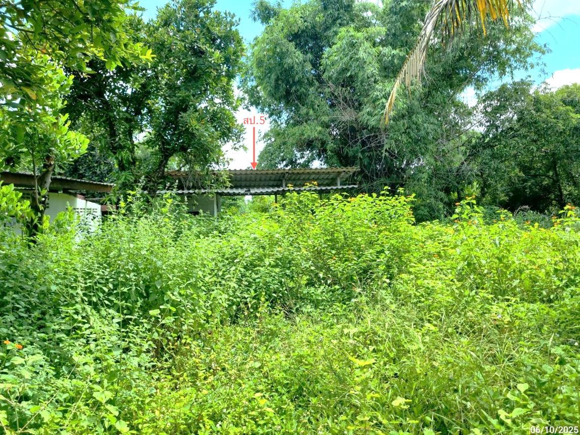 รูป บ้านเดี่ยว สำหรับขาย - วังขนาย ท่าม่วง กาญจนบุรี - รูปที่ 30/36