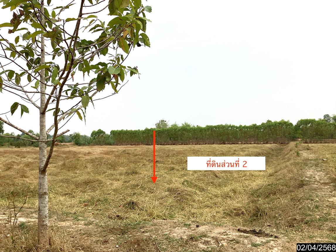 รูป ที่ดินว่างเปล่า สำหรับขาย - วาใหญ่ อากาศอำนวย สกลนคร - รูปที่ 14/20