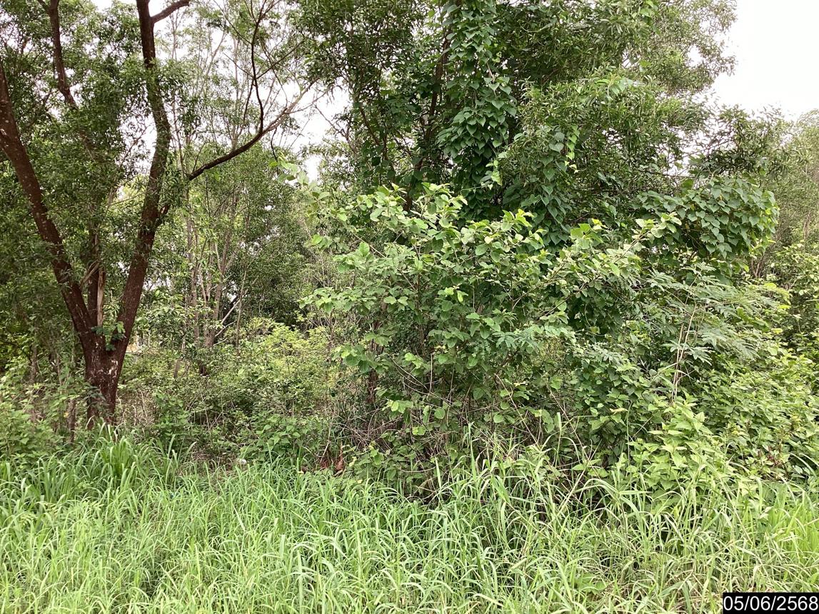 รูป ที่ดินว่างเปล่า สำหรับขาย - บ้านเลื่อม เมืองอุดรธานี อุดรธานี - รูปที่ 15/24