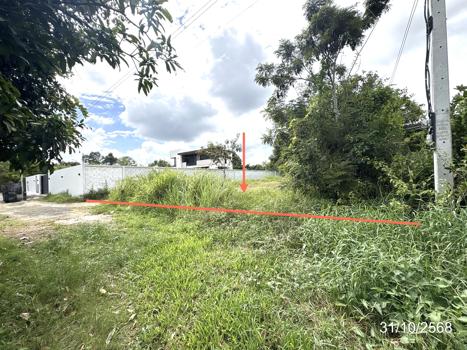 รูป ที่ดินว่างเปล่า สำหรับขาย - ขามใหญ่ เมืองอุบลราชธานี อุบลราชธานี - รูปที่ 13/16