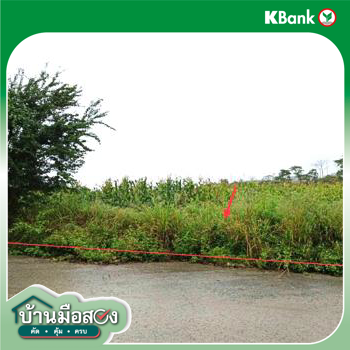 รูป ที่ดินว่างเปล่า สำหรับขาย ภูริพิมาน ปากช่อง ปากช่อง นครราชสีมา - รูปที่ 22/24