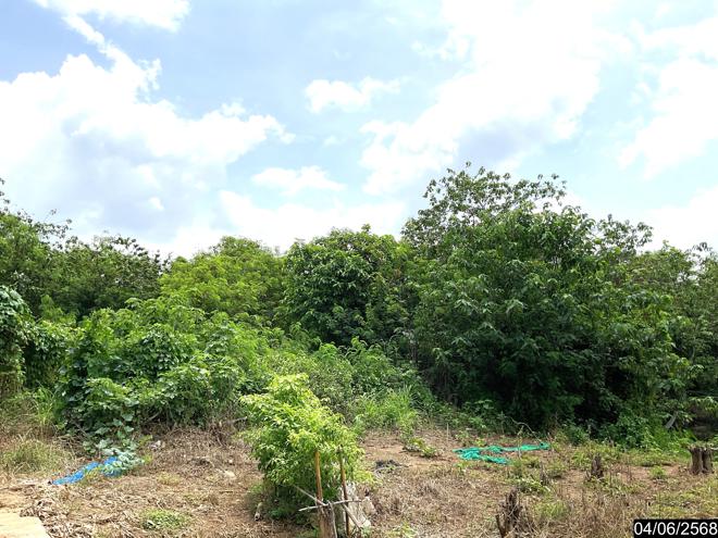 รูป ที่ดินว่างเปล่า สำหรับขาย - นาดินดำ เมืองเลย เลย - รูปที่ 6/18