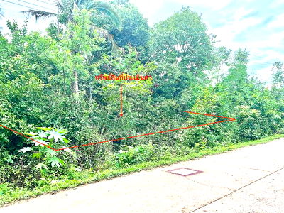 ที่ดิน ประจวบคีรีขันธ์ : ที่ดินว่างเปล่า สำหรับขาย - กุยบุรี กุยบุรี ประจวบคีรีขันธ์