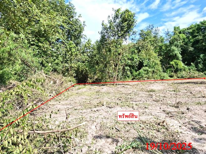 รูป ที่ดินว่างเปล่า สำหรับขาย - บ้านกลาง สันป่าตอง เชียงใหม่ - รูปที่ 5/24