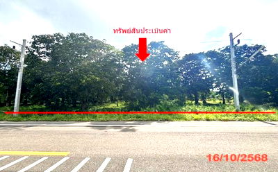 Land for sale Surat Thani : LAND for sale  Bang Pho Muang Surat Thani Surat Thani