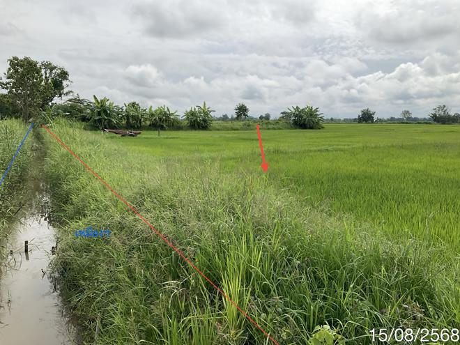 รูป ที่ดินว่างเปล่า สำหรับขาย - จันจว้าใต้ แม่จัน เชียงราย - รูปที่ 3/22