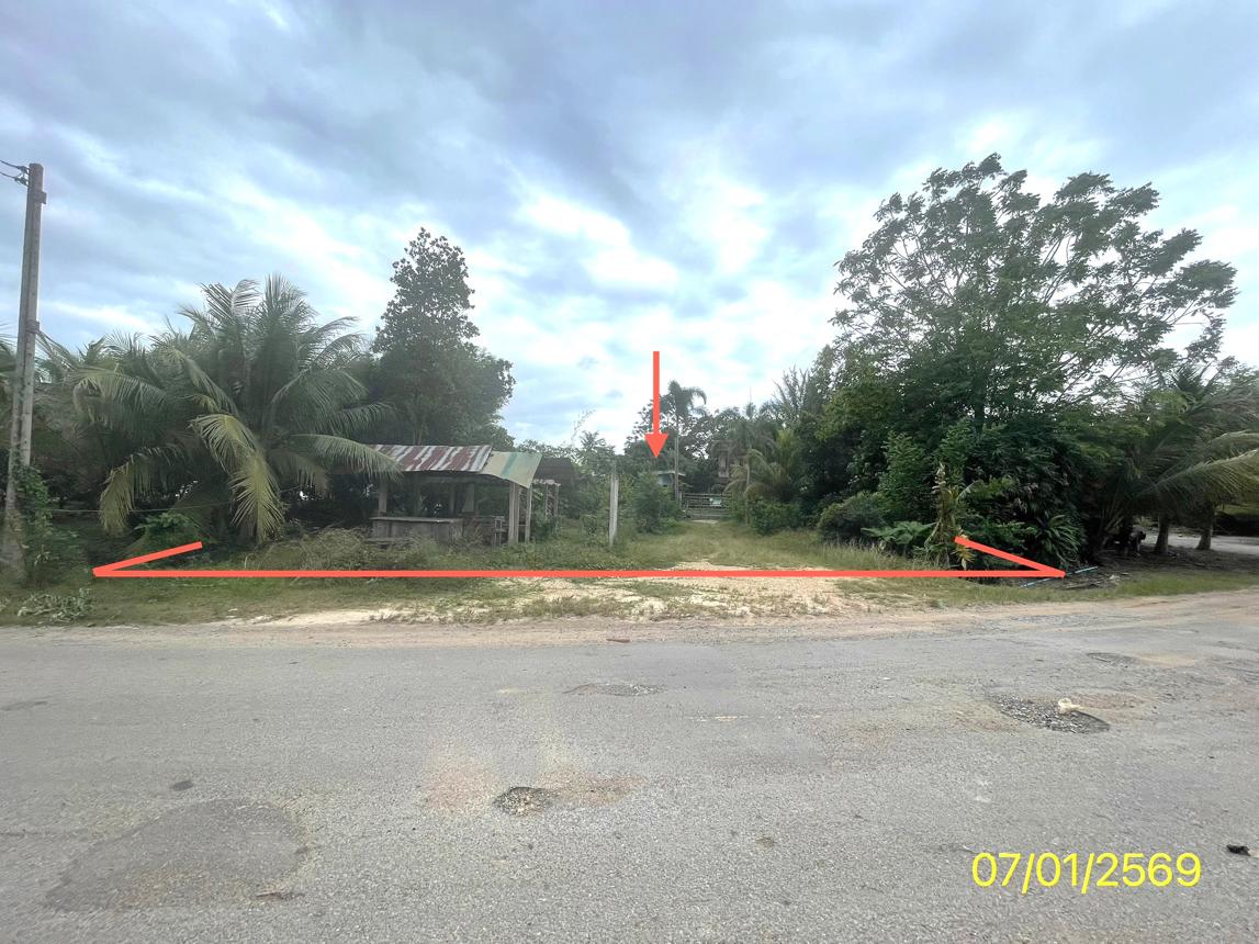 รูป บ้านเดี่ยว สำหรับขาย - คลองหอยโข่ง คลองหอยโข่ง สงขลา - รูปที่ 15/20