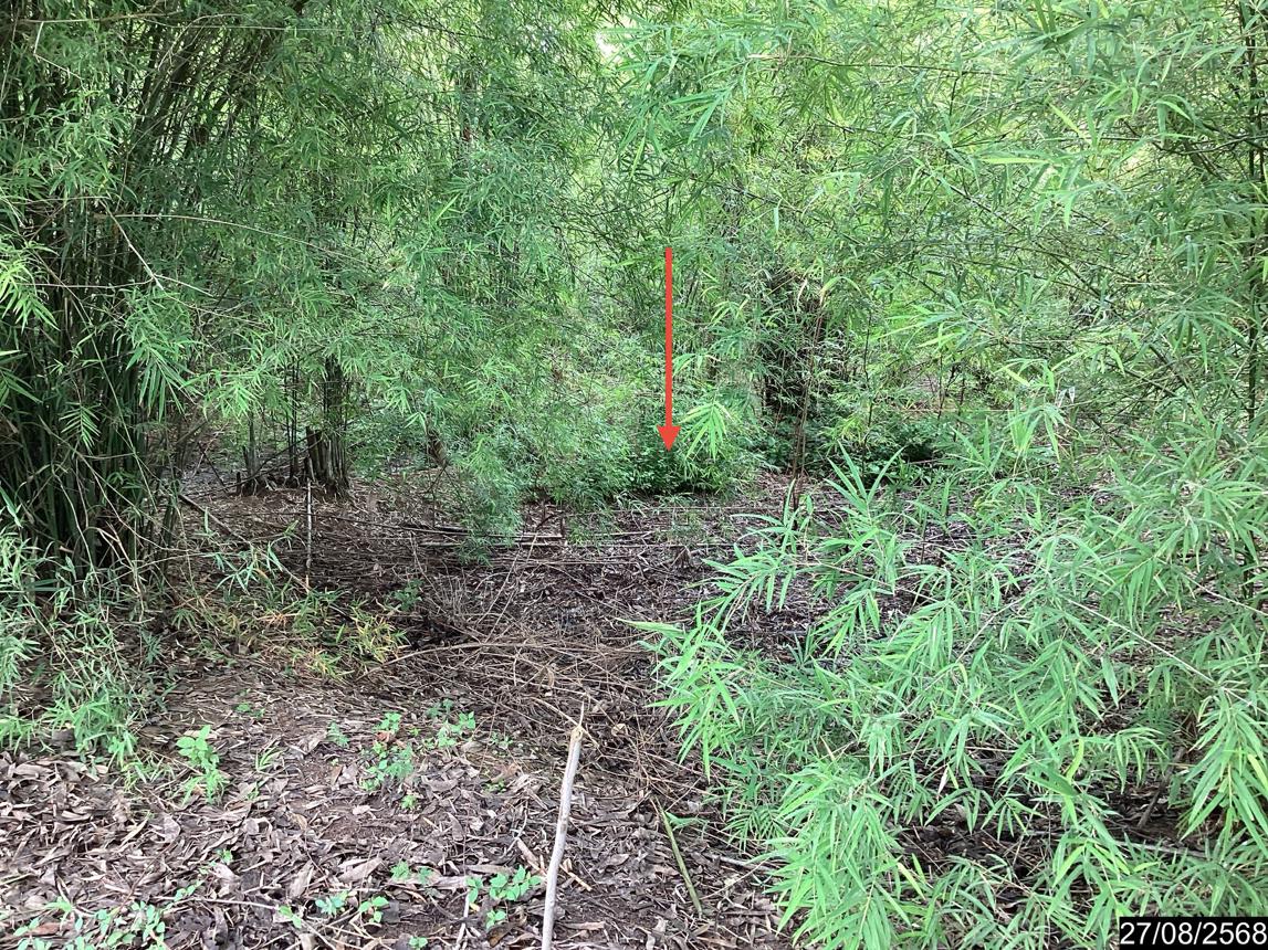 picture LAND for sale  Ban That Phen Udon Thani - 15/24