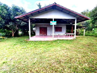 Houses for sale Phu Kradung Loei : HOME for sale  Phu Kradung Phu Kradung Loei