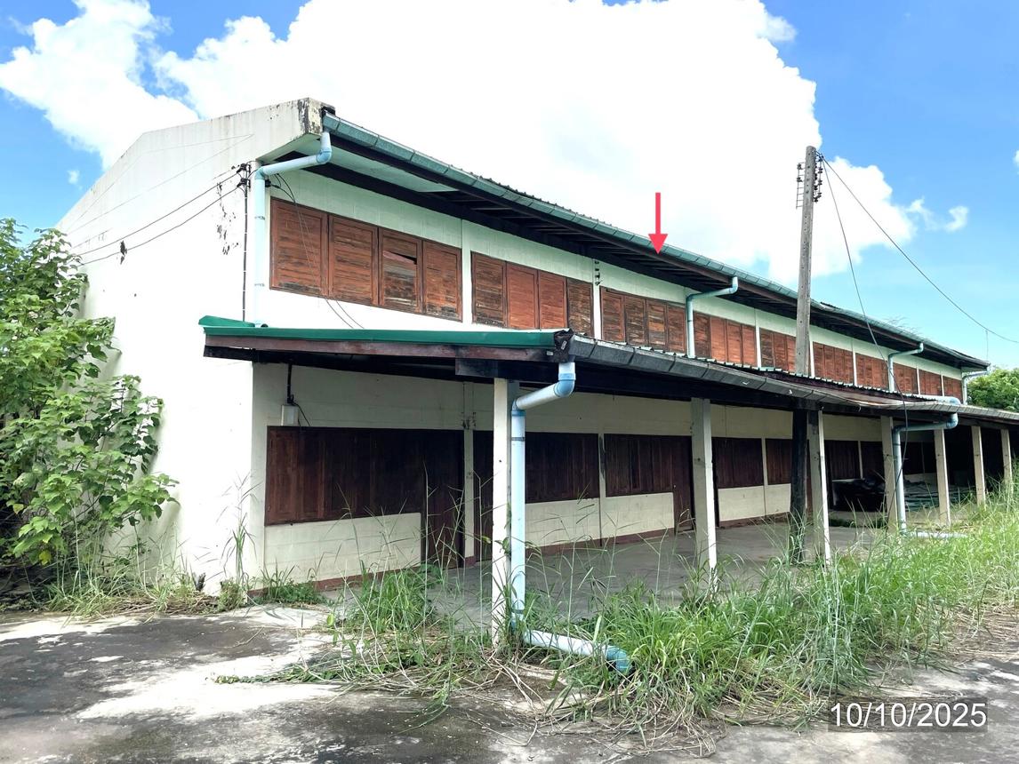 รูป โกดัง สำหรับขาย - คลองตาล ศรีสำโรง สุโขทัย - รูปที่ 56/64