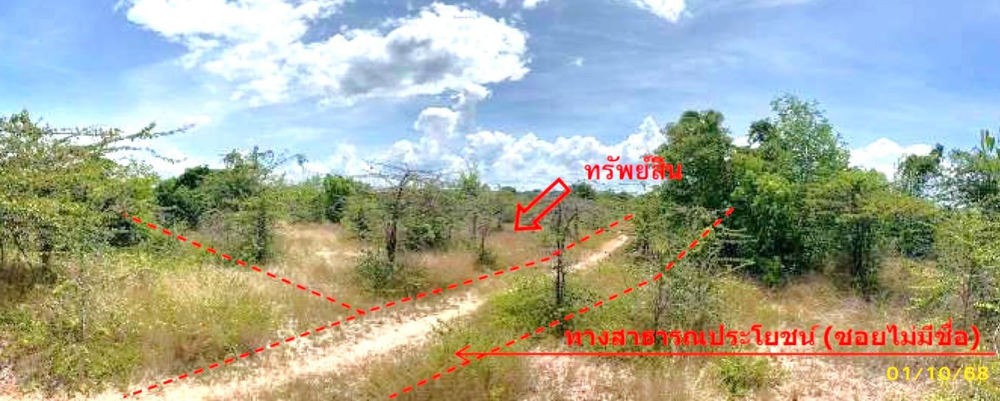 รูป ที่ดินว่างเปล่า สำหรับขาย - กะลุวอเหนือ เมืองนราธิวาส นราธิวาส - รูปที่ 6/12