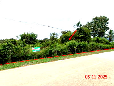 Land for sale Wang Nua Lamphang : LAND for sale  Wang Nua Wang Nua Lamphang