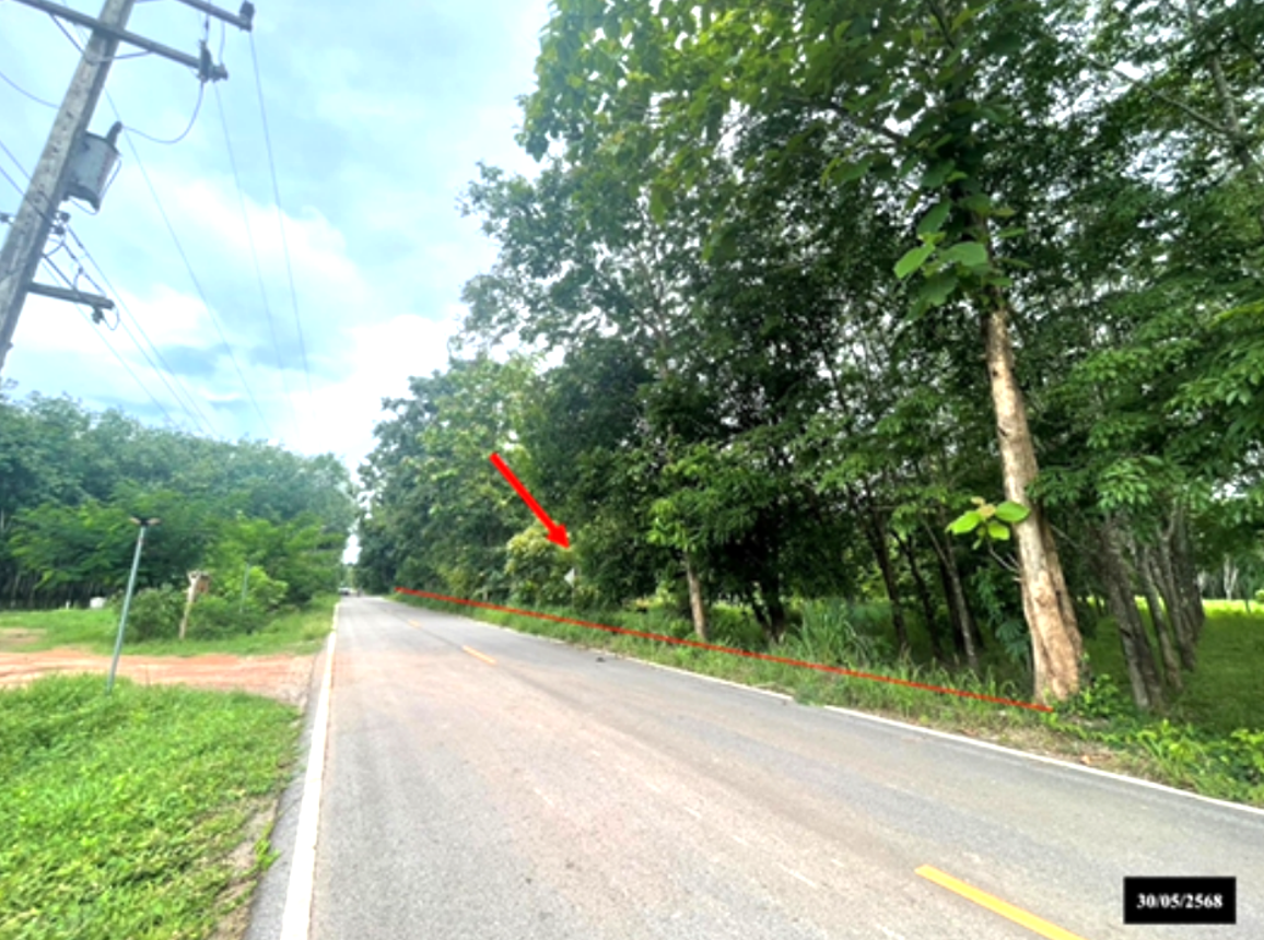 รูป ที่ดินว่างเปล่า สำหรับขาย - ค้อเขียว วาริชภูมิ สกลนคร - รูปที่ 8/16
