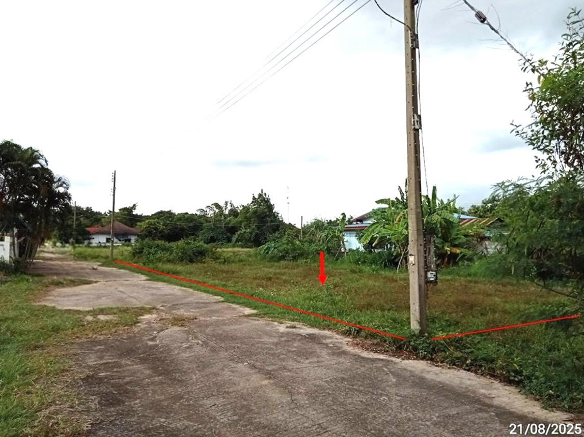 รูป ที่ดินว่างเปล่า สำหรับขาย - ปะคำ ปะคำ บุรีรัมย์ - รูปที่ 12/24