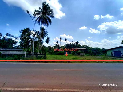 Houses for sale Phatthalung : HOME for sale  Khok Muang Khao Chaison Phatthalung