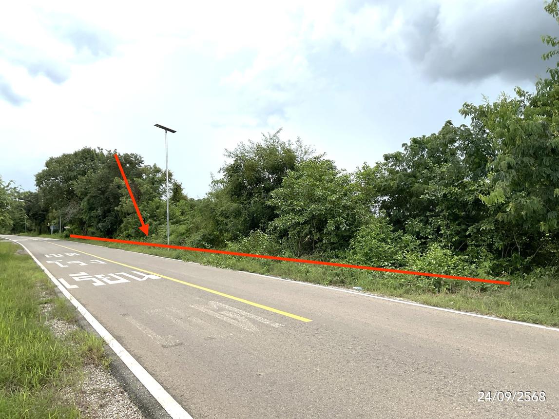 picture LAND for sale Ban Dan Aranyaprathet Srakaeo - 10/20