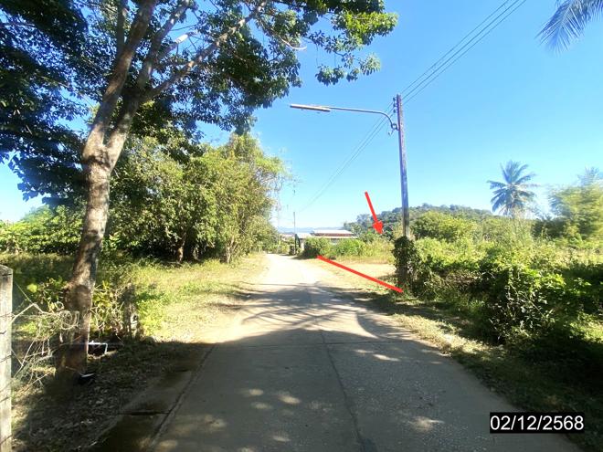รูป ที่ดินว่างเปล่า สำหรับขาย - ปากชม ปากชม เลย - รูปที่ 7/22