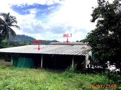 บ้านเดี่ยว ตะกั่วป่า พังงา : บ้านเดี่ยว สำหรับขาย - บางม่วง ตะกั่วป่า พังงา