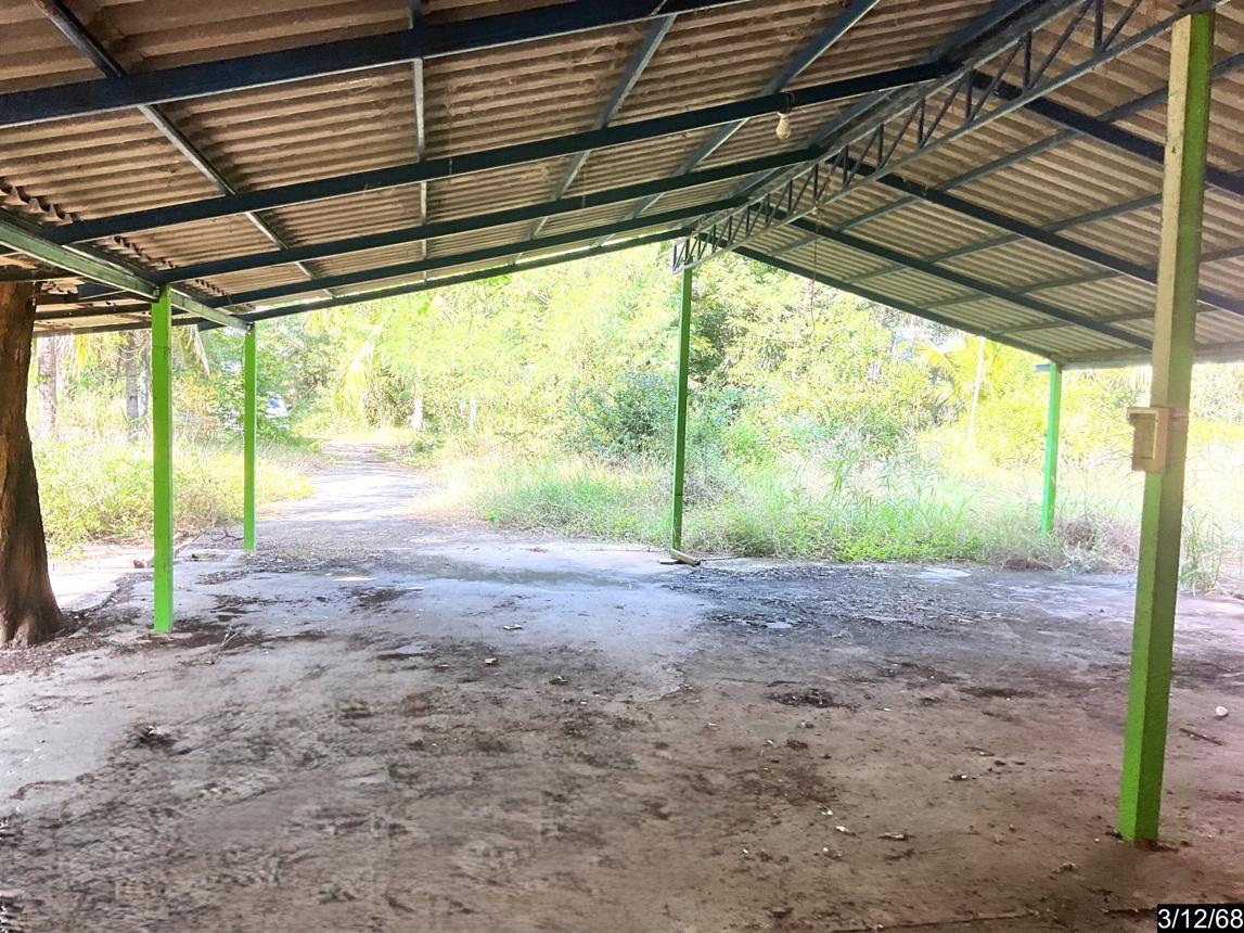 รูป บ้านเดี่ยว สำหรับขาย - โตนด โนนสูง นครราชสีมา - รูปที่ 36/44