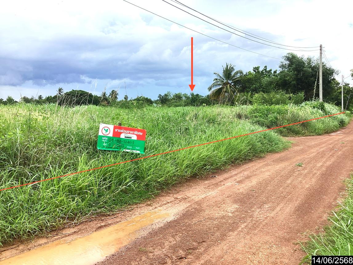 รูป ที่ดินว่างเปล่า สำหรับขาย - โพธิ์ชัย เมืองหนองคาย หนองคาย - รูปที่ 6/14
