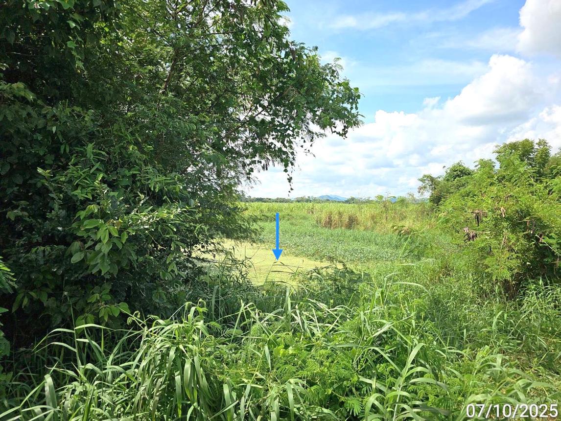 รูป ที่ดินว่างเปล่า สำหรับขาย - กองทูล หนองไผ่ เพชรบูรณ์ - รูปที่ 16/20