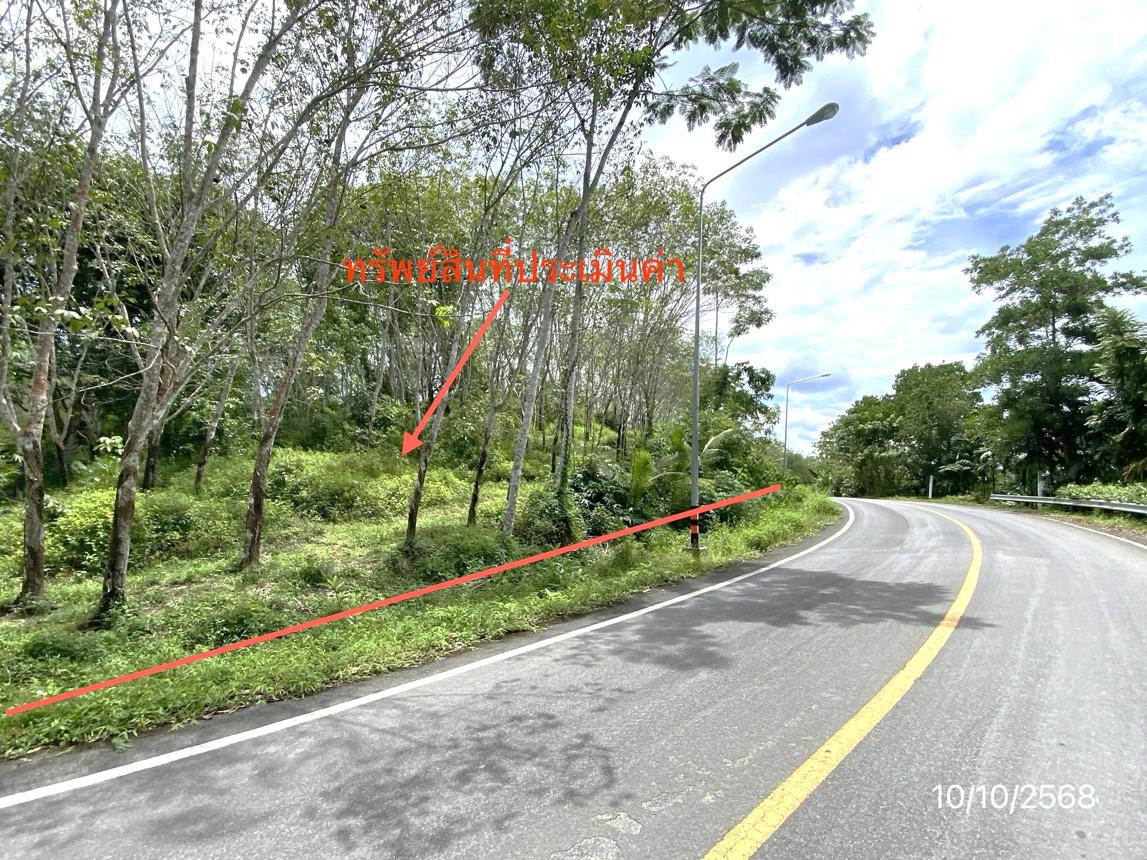 รูป ที่ดินว่างเปล่า สำหรับขาย - ละอาย ฉวาง นครศรีธรรมราช - รูปที่ 14/20